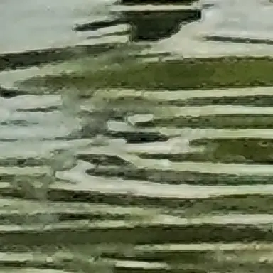 Profile image of 조민정