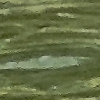 Profile image of 김태은