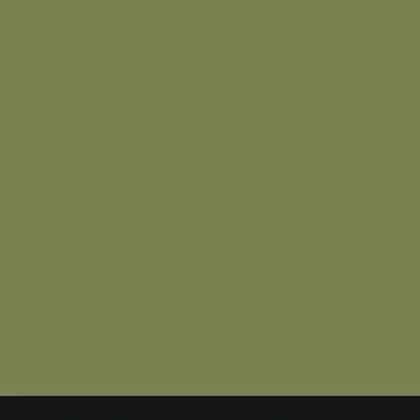 Profile image of ゾム
