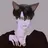 최정민