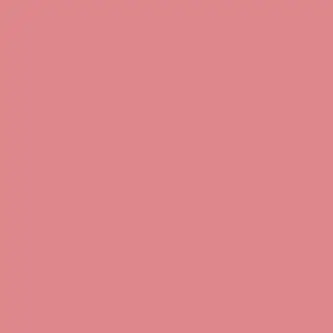 Profile image of ないこ