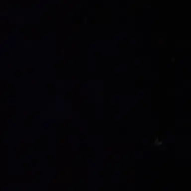 Profile image of 홍영기엄마