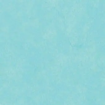 Profile image of 쉐밀이슈 꺼져