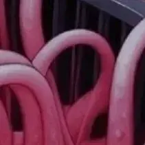 Profile image of The Writhing