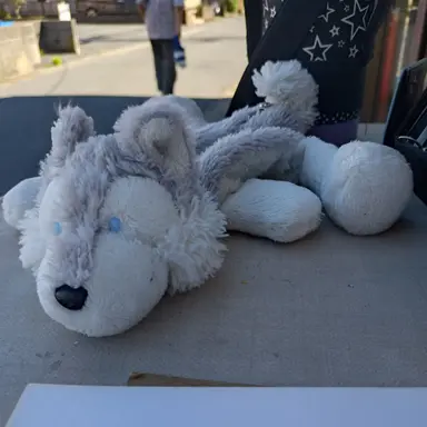 Profile image of こむぎ