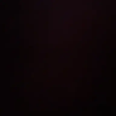 Profile image of 태권도 코치