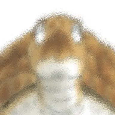 Profile image of ウミガメ