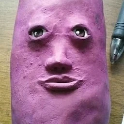 꾸국