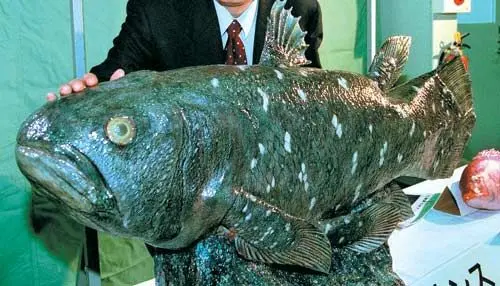 Profile image of 실러캔스