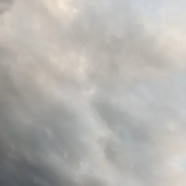 Profile image of SnowMan