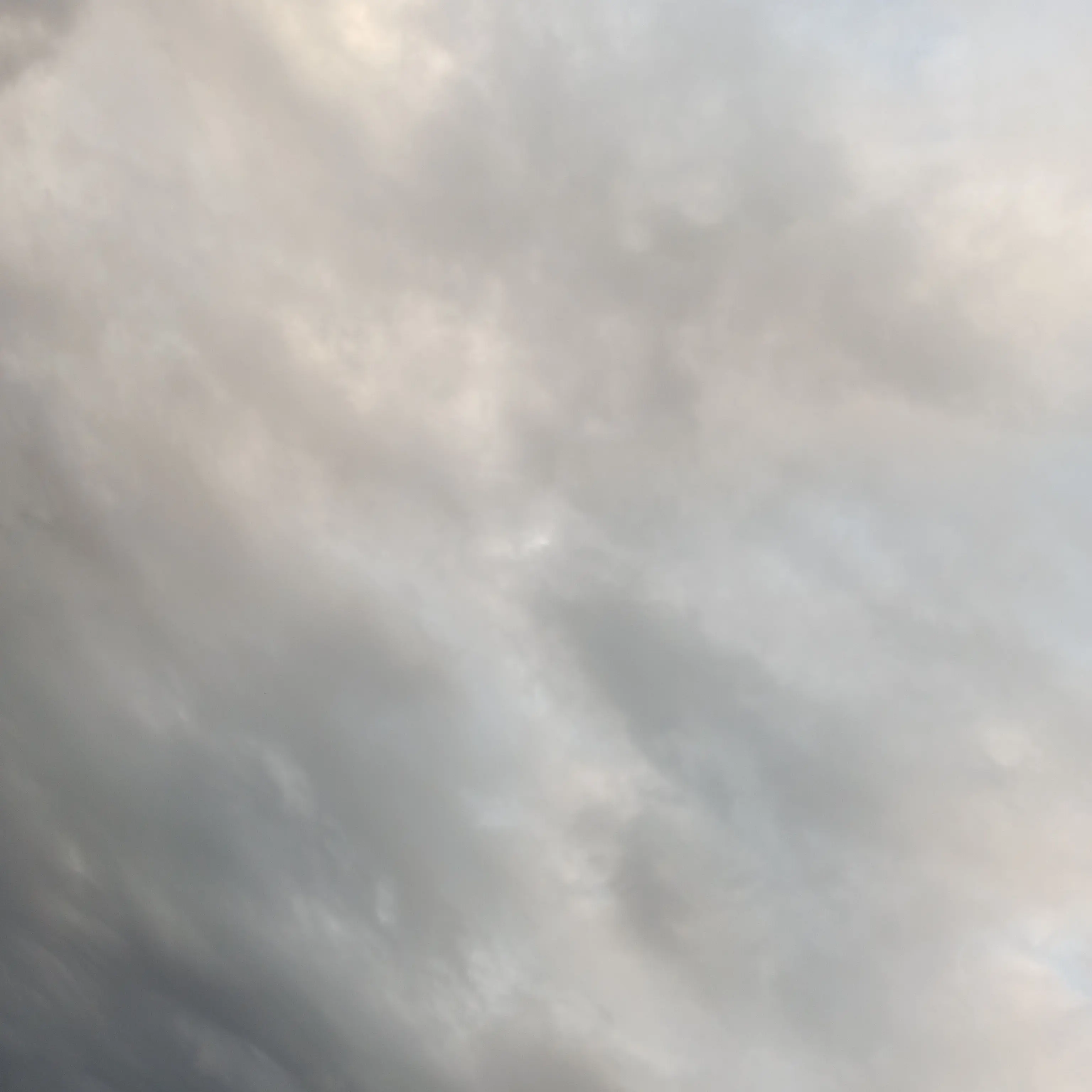 SnowMantan의 血の繋がってない家族…