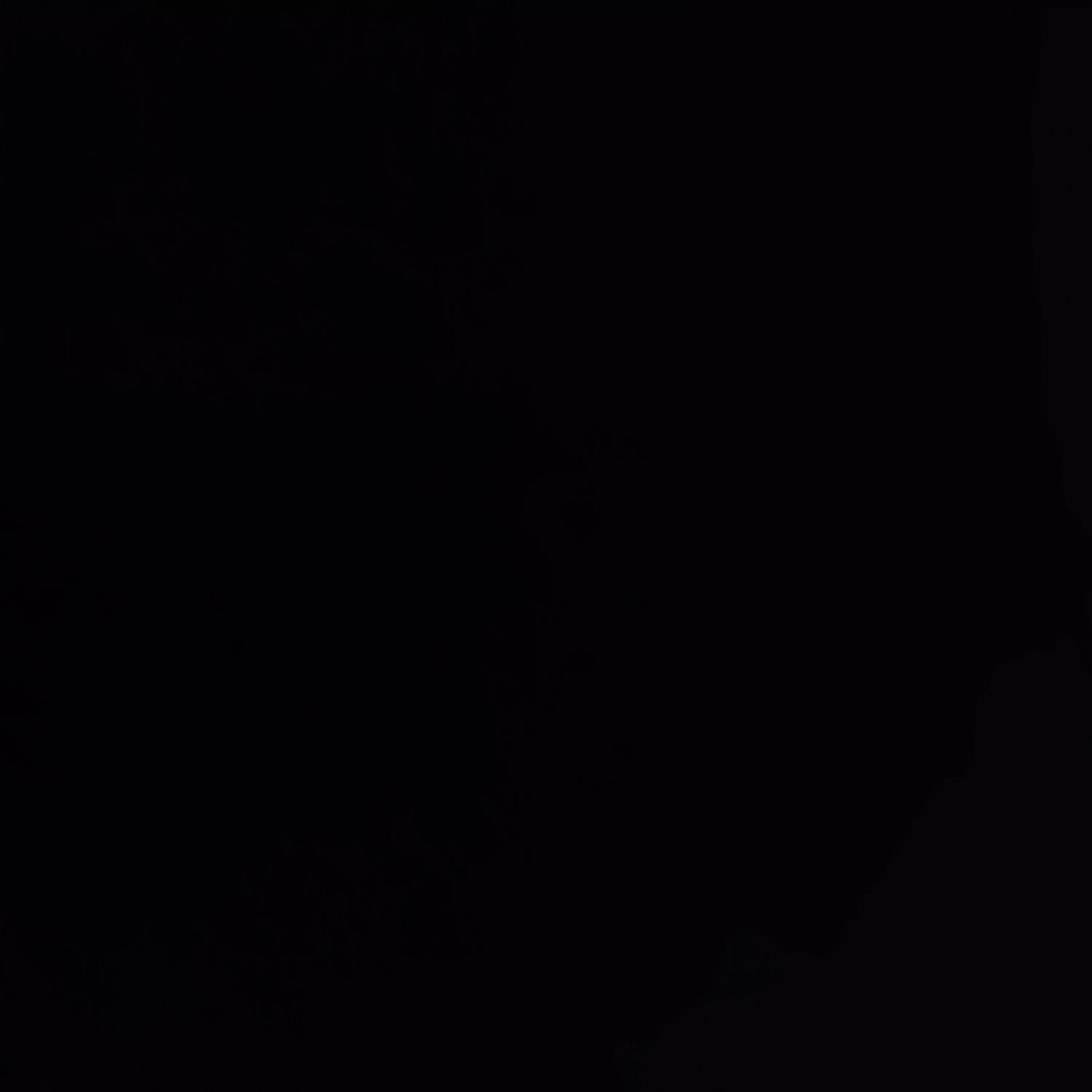 진시