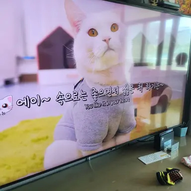 Profile image of 뉴뉴