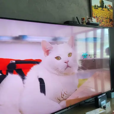 Profile image of 푸르딩딩