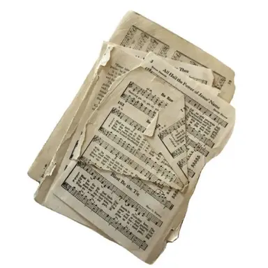 Profile image of Andy Coddy