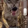 Profile image of 김늑대