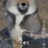Profile image of 김여우