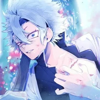 Profile image of 시나즈가와 사네미