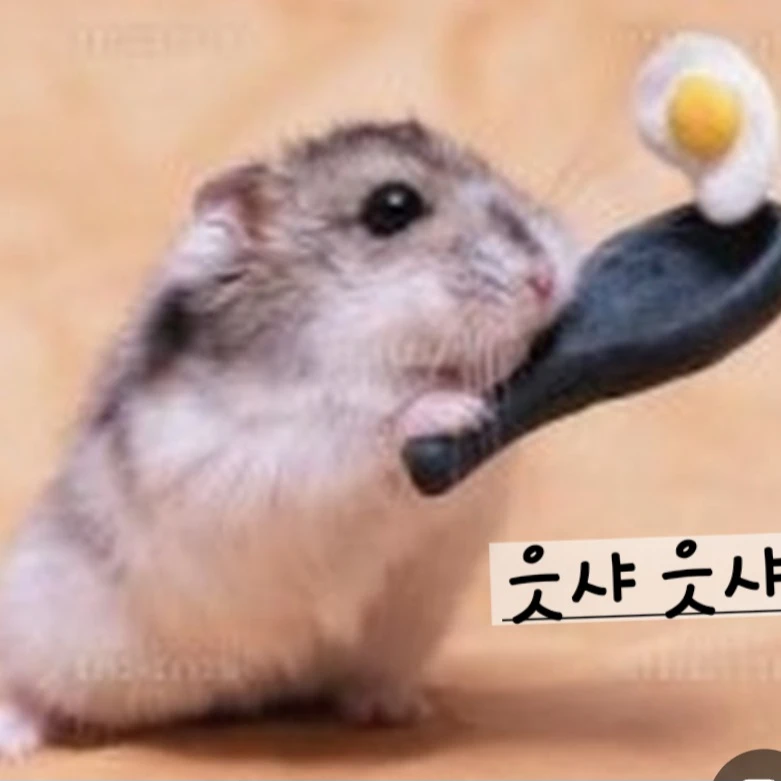 햄이