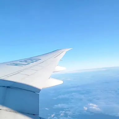 Profile image of 수진