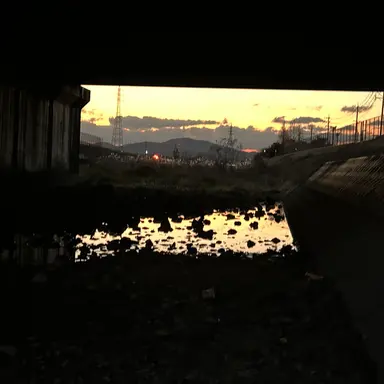 Profile image of イタイケさん