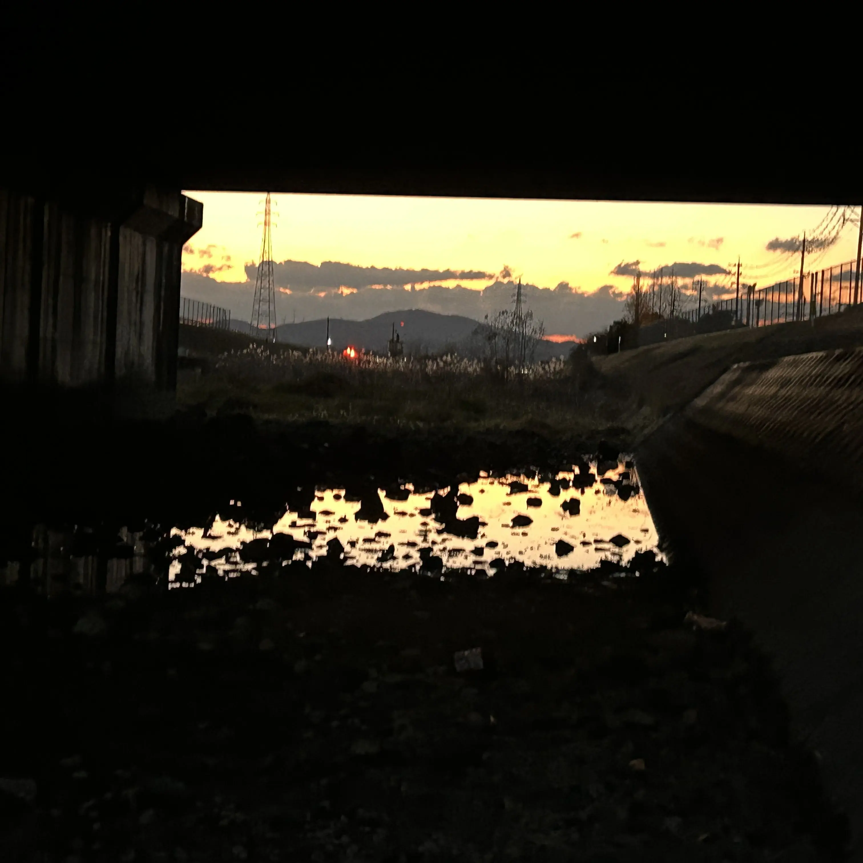 SimpleXerus4133의 性的救助隊