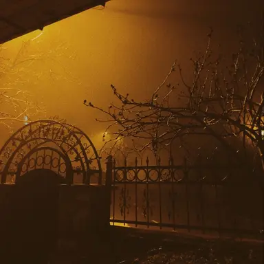 Profile image of 김각별