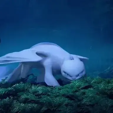 Profile image of Light