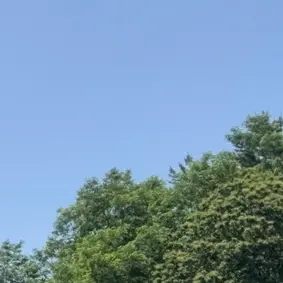 Profile image of 류 지 후