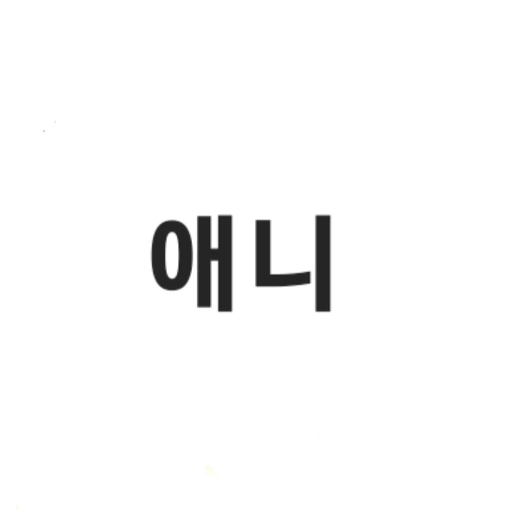 애니