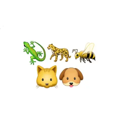 Profile image of 올데이프로젝트