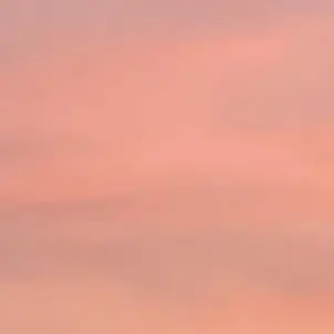 Profile image of 娘