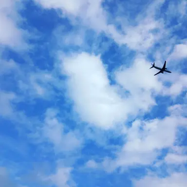 Profile image of 설정