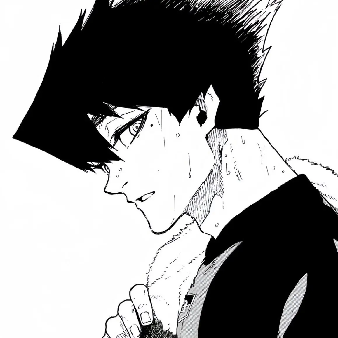 Nii_chan의 카라스 타비토