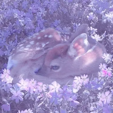 Profile image of 멜로우