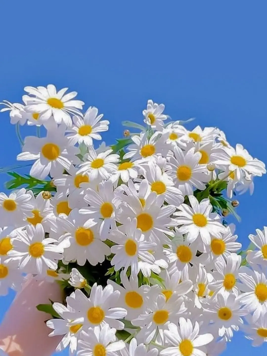 vanya_12의 I Want to Make You Smile