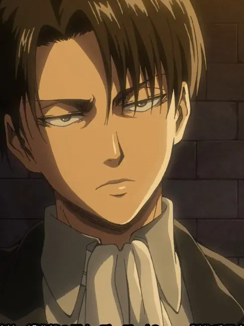 yuzu_lm의 リヴァイ・アッカーマン