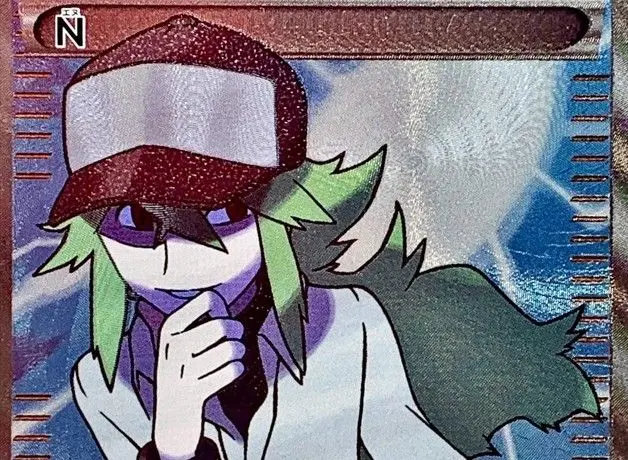 Profile image of N