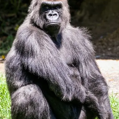 Profile image of 셴