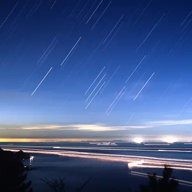 Profile image of 라네스