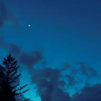 Profile image of 크레니아