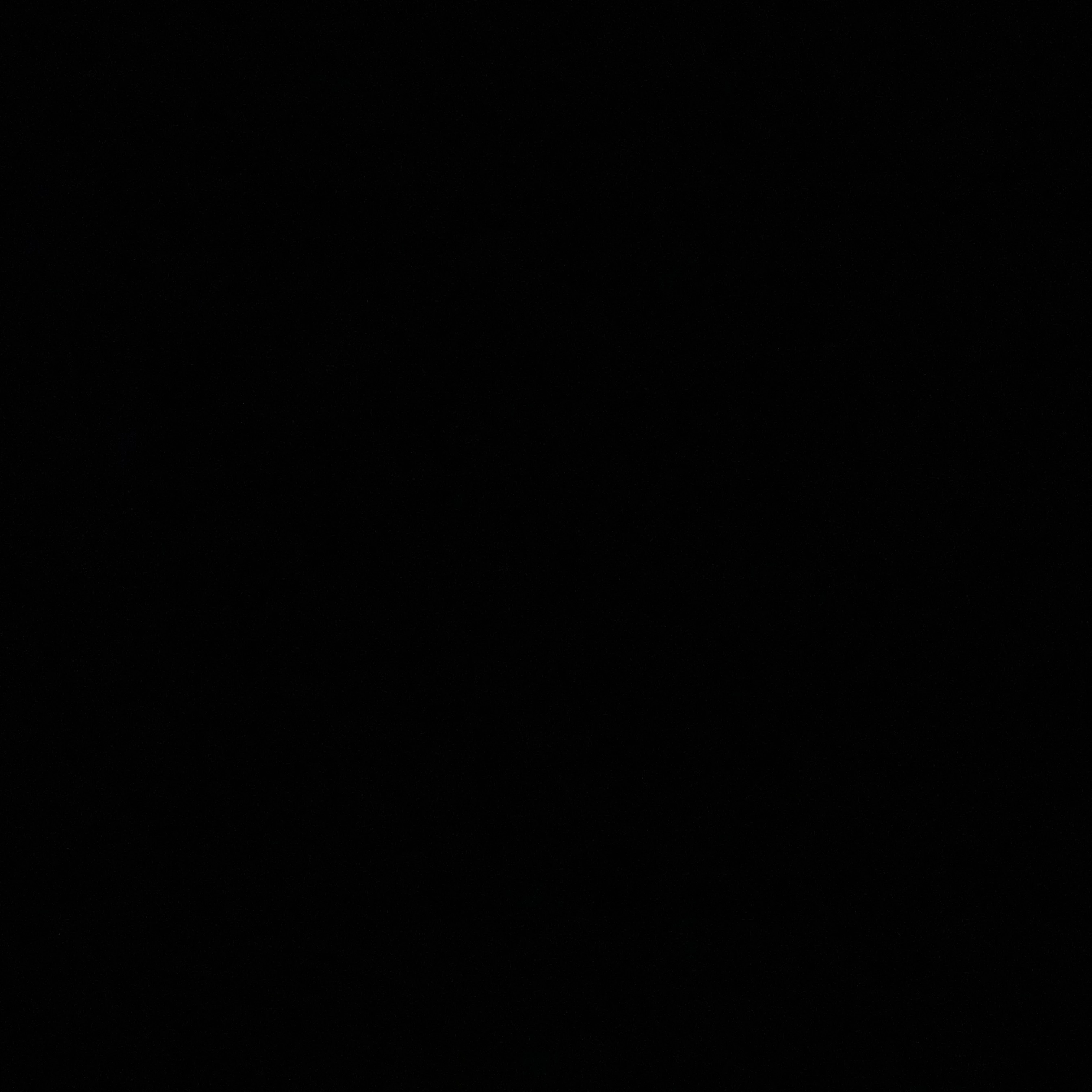 장한음