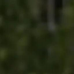 이지훈