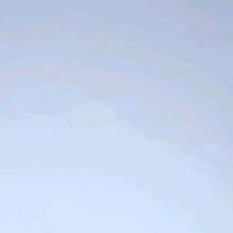 최슨첧