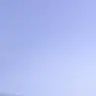 Profile image of 自由