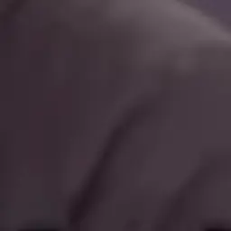 Profile image of 目黒