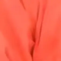 Profile image of 向井