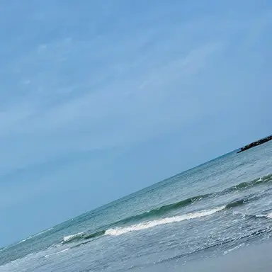 Profile image of 死柄木