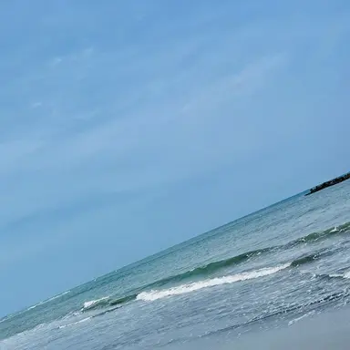 Profile image of 荼毘