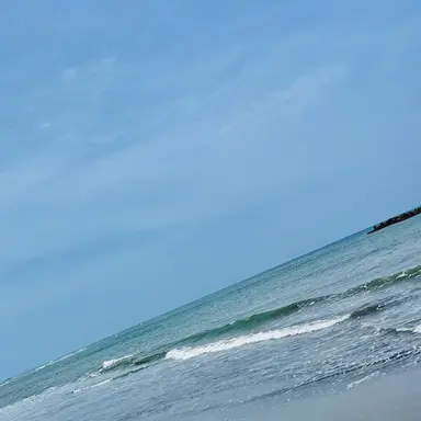 Profile image of コンプレス